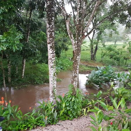 פלנקה Auto Hotel Paraiso Inn מראה חיצוני תמונה